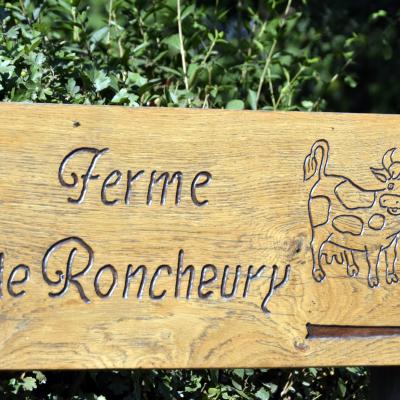 Martine Lambot et Sébastien Thiry - Ferme de Roncheury