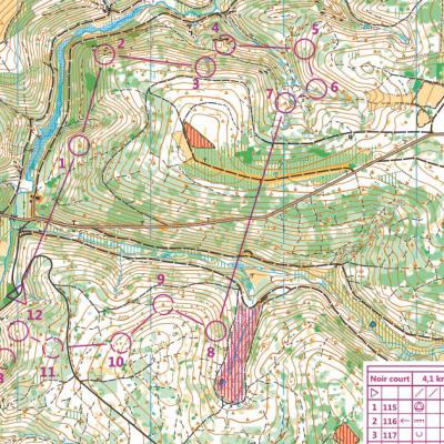 Geneviève Nys - Course d'orientation - Parcours difficile