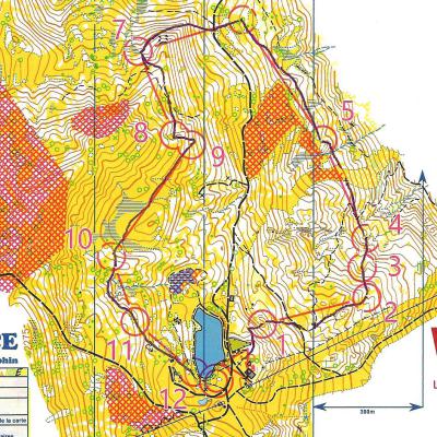 Geneviève Nys - Course d'orientation 