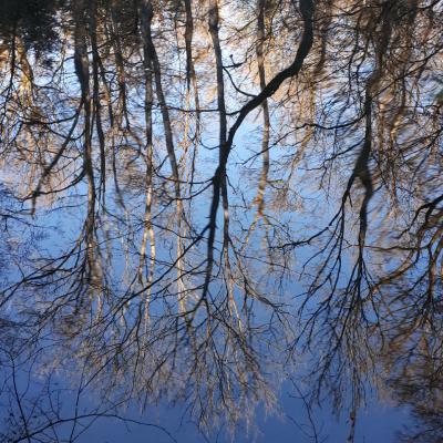 Fabienne Corbeel-Laurent, CapRando : reflets dans l'eau