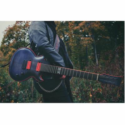 Lio Maertens Luthier