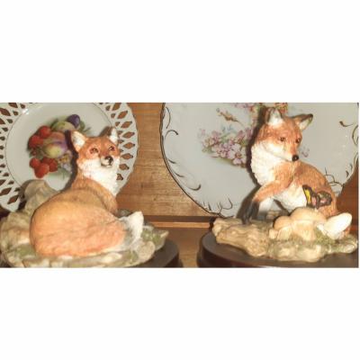 Reine Robe - Renards