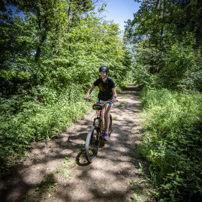 Rémi Denoiseux : Avinturi